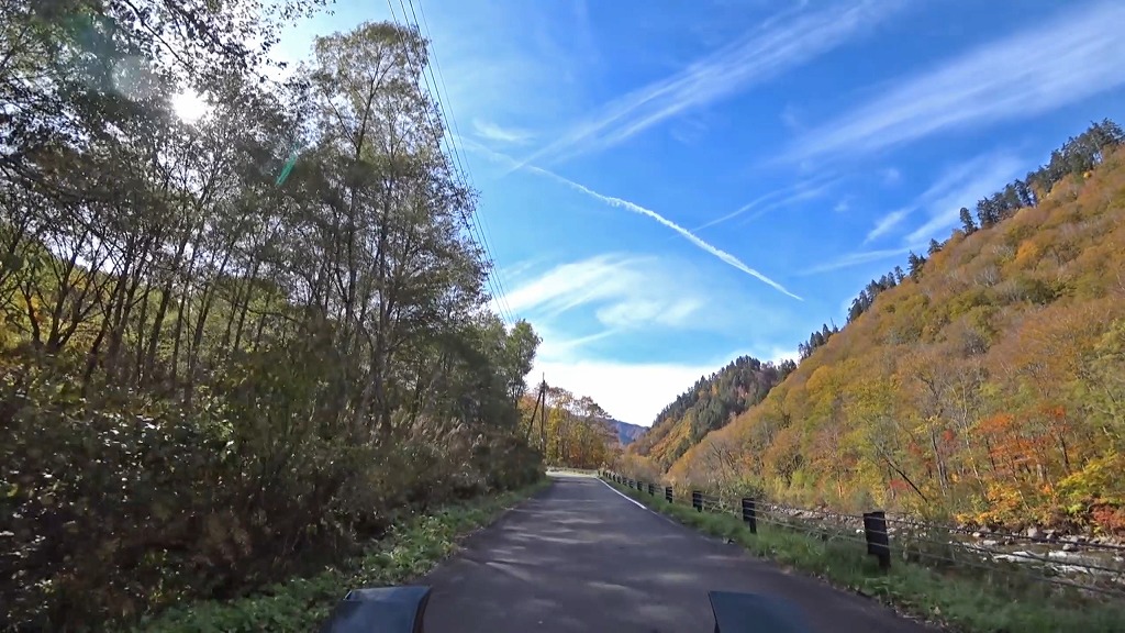 御池・樹海ライン 国道352号